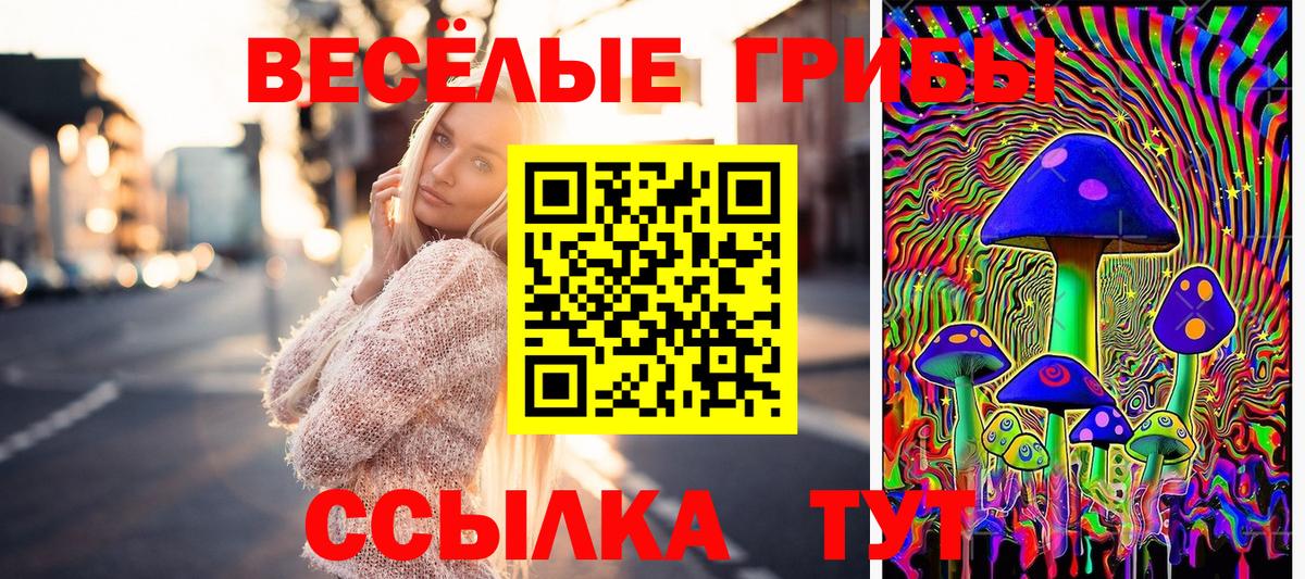 Галлюциногенные грибы прущие грибы  Вход с VPN  Псилоцибиновые грибы MAGIC MUSHROOMS  Комсомольск-на-Амуре 
